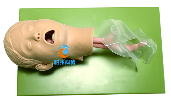 儿童气管插管训练模型