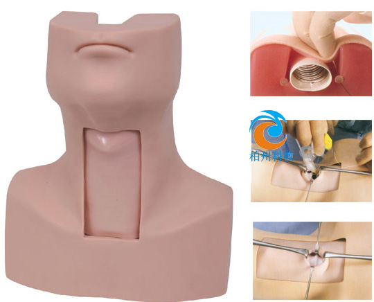 高级气管切开插管训练模型