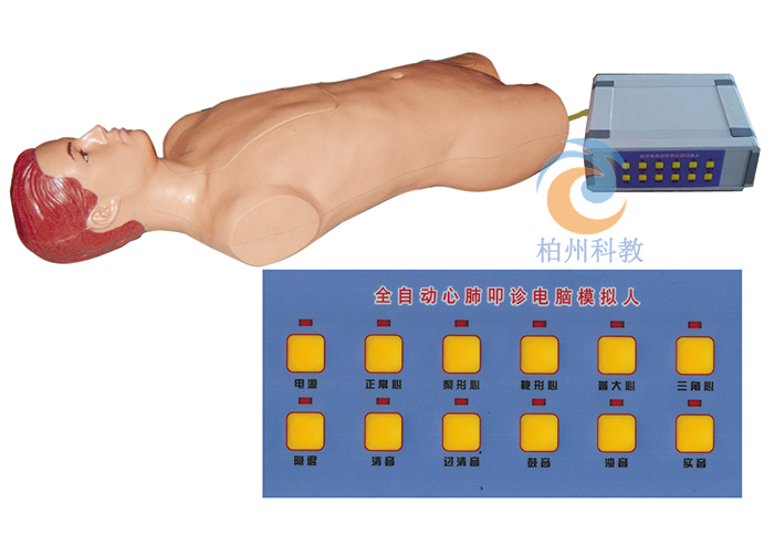 心肺叩诊电脑模拟人