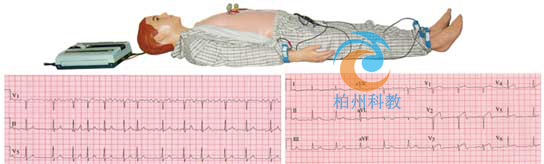 多种心电图电脑模拟人