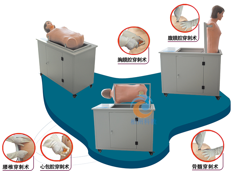 全自动多种穿刺叩诊电脑模型