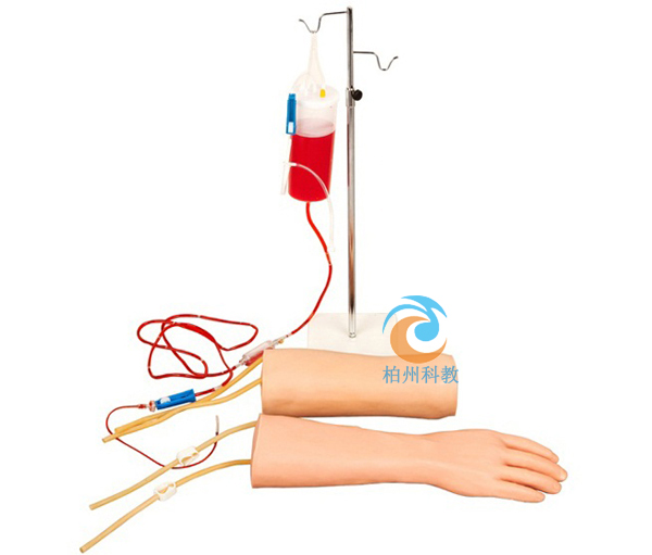 手部、肘部组合式静脉输液（血）训练手臂