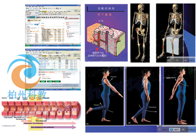 医教多媒体素材库及课件平台系统