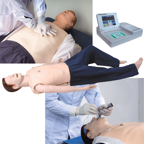 GD/ALS10750+高级多功能急救训练模拟人（CPR、气管插管、除颤起搏四合一功能）