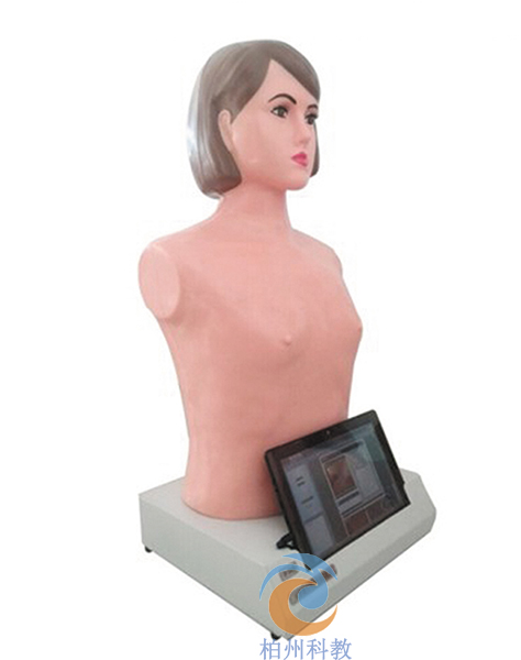 数字遥控式电脑胸部心肺听诊模拟人